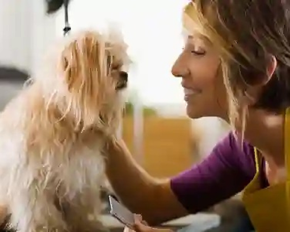 How to Prepare Your Pet for Their First Grooming Appointment