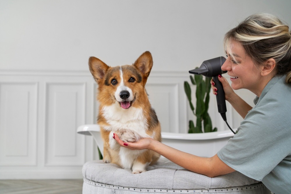 Exploring Hypoallergenic Grooming Products for Sensitive Pets